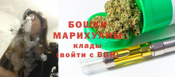 молекула духа Покачи