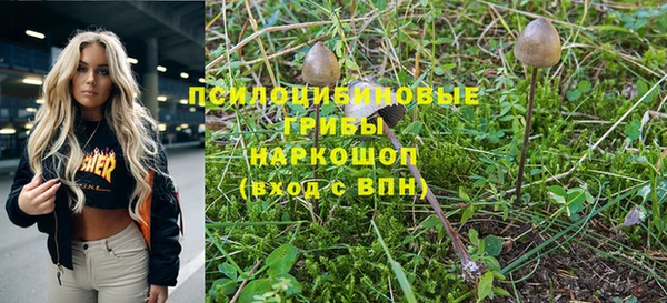 синтетический гашиш Алексеевка