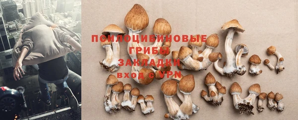 таблы Алзамай