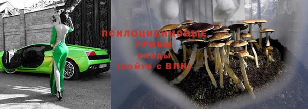 синтетический гашиш Алексеевка