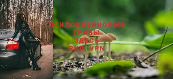 таблы Алексин