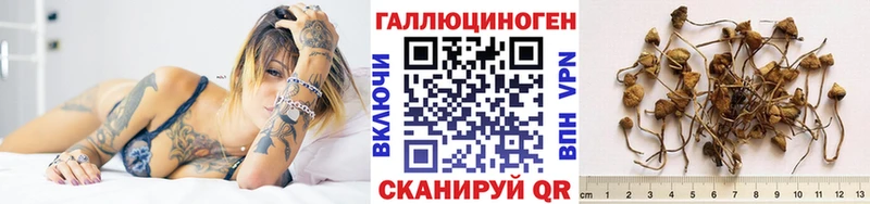 ссылка на мегу tor  закладки  Ардон  Галлюциногенные грибы GOLDEN TEACHER 